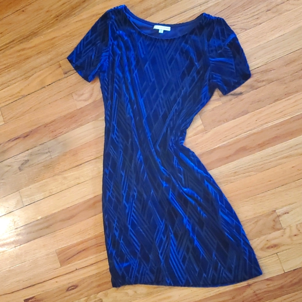 Navy Velor Art Decor Dress